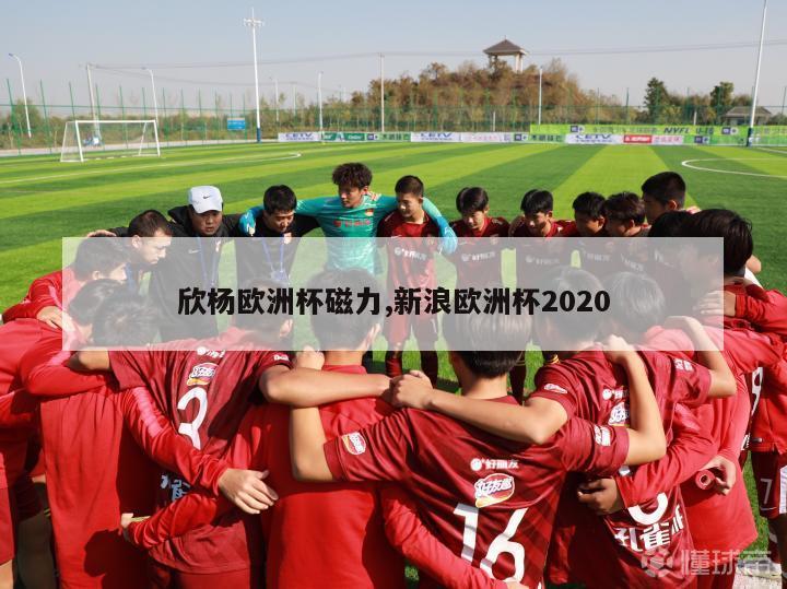 欣杨欧洲杯磁力,新浪欧洲杯2020